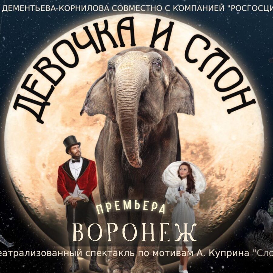 Цирковое шоу «Девочка и слон»