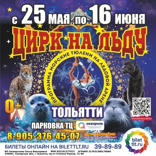 Цирковое шоу на льду «Морские тюлени на ледовой арене»