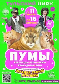 Билеты Цирковое шоу «Загадка старой игрушки»